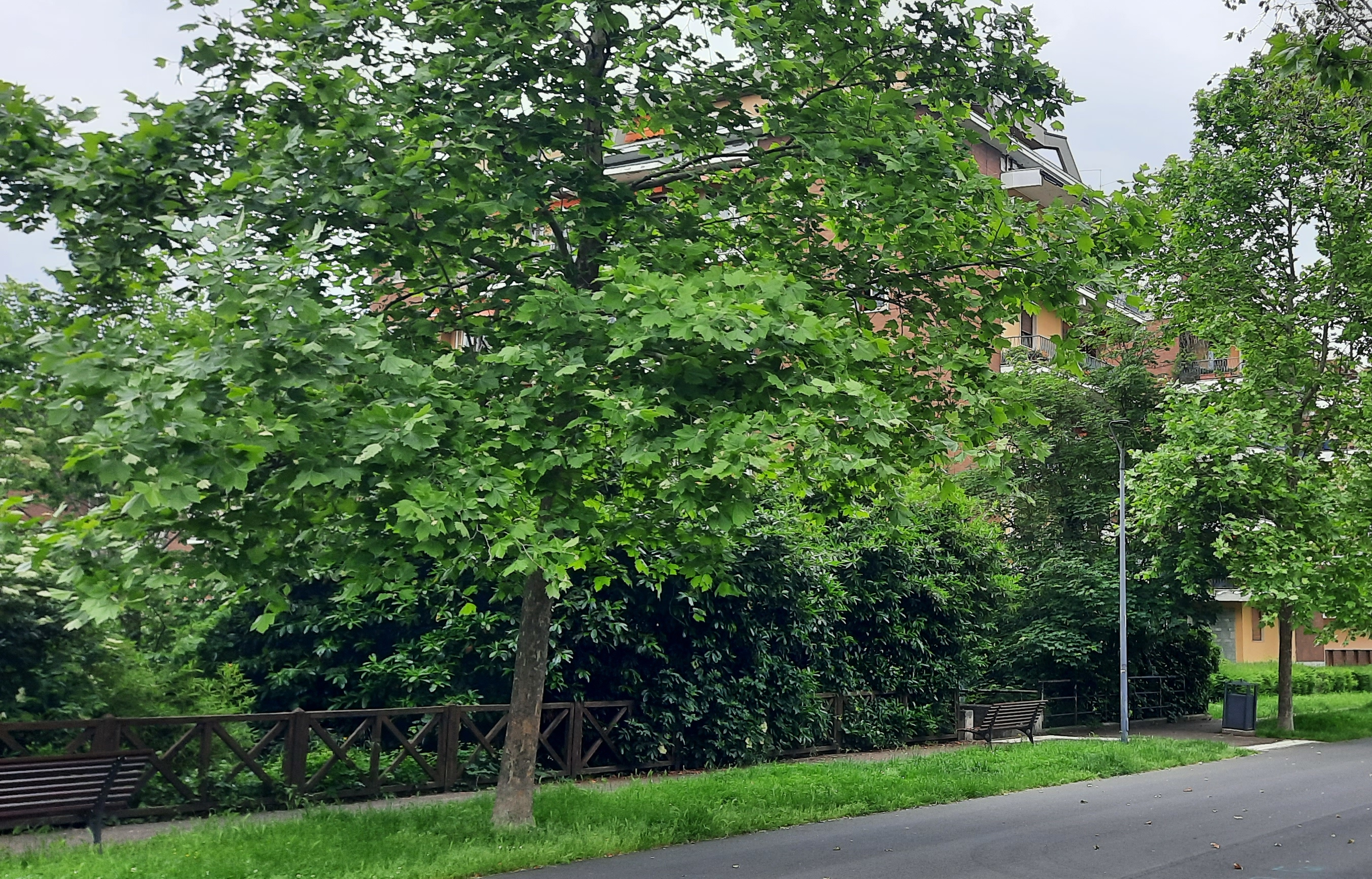 Centro, quartieri verdi, zone in crescita: come scegliere
